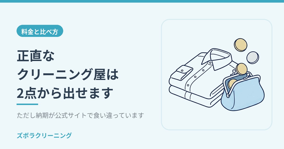 正直なクリーニング屋は2点から出せます